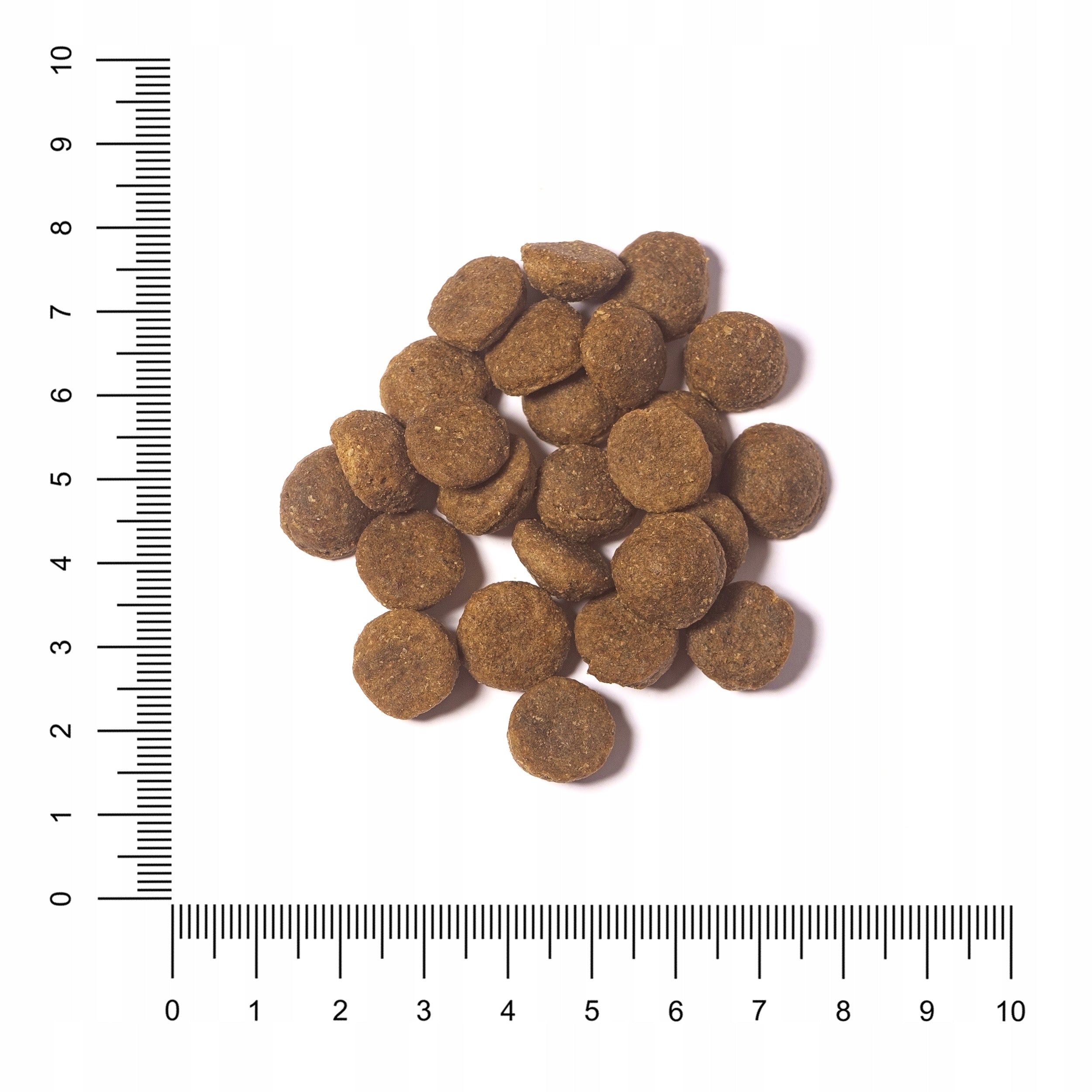 Canivera Adult Grain Free Salmon & Potato 14kg – dog food + freebie Packaging status original