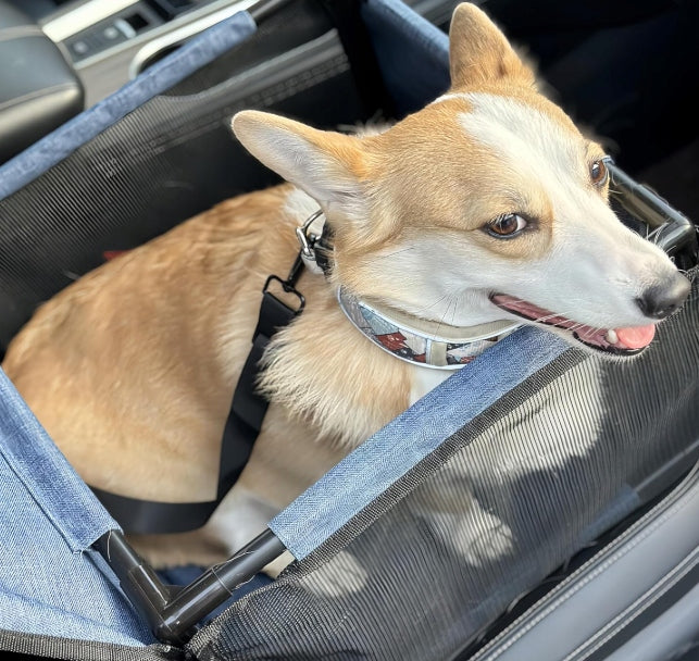 Car Pet Transporter Seat for Dog or Cat Manufacturer code 01