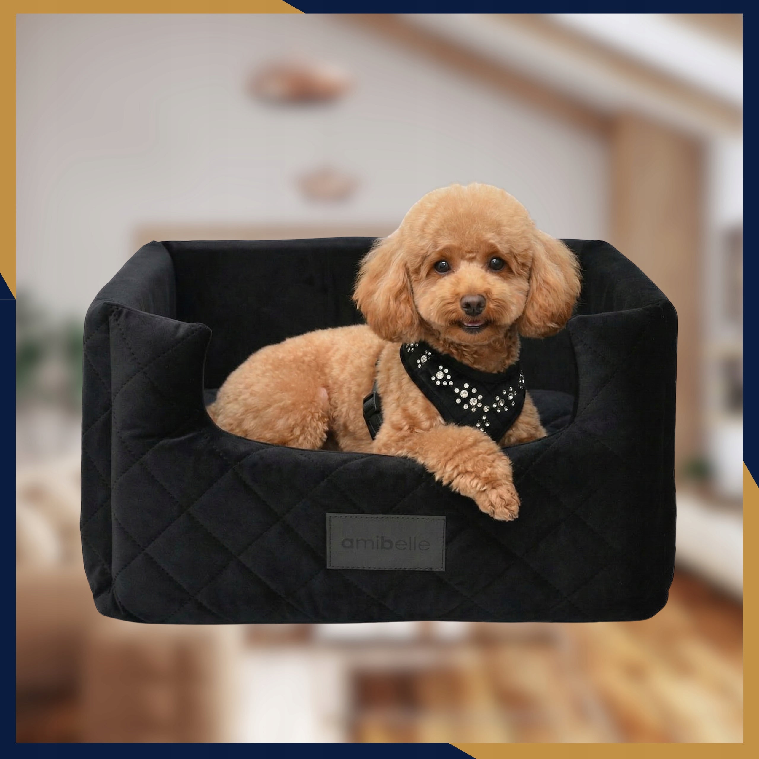 Car Seat for Dog Cat Transporter Bed for Pupil Packaging status original