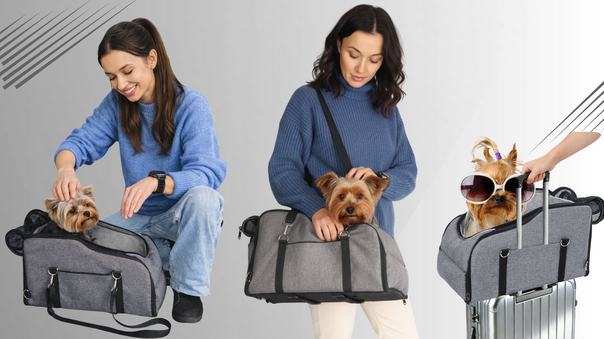 Car seat transporter cat dog bag up to 5kg car seat Trade name Fotelik do auta dla zwierząt transporter torba transportowa