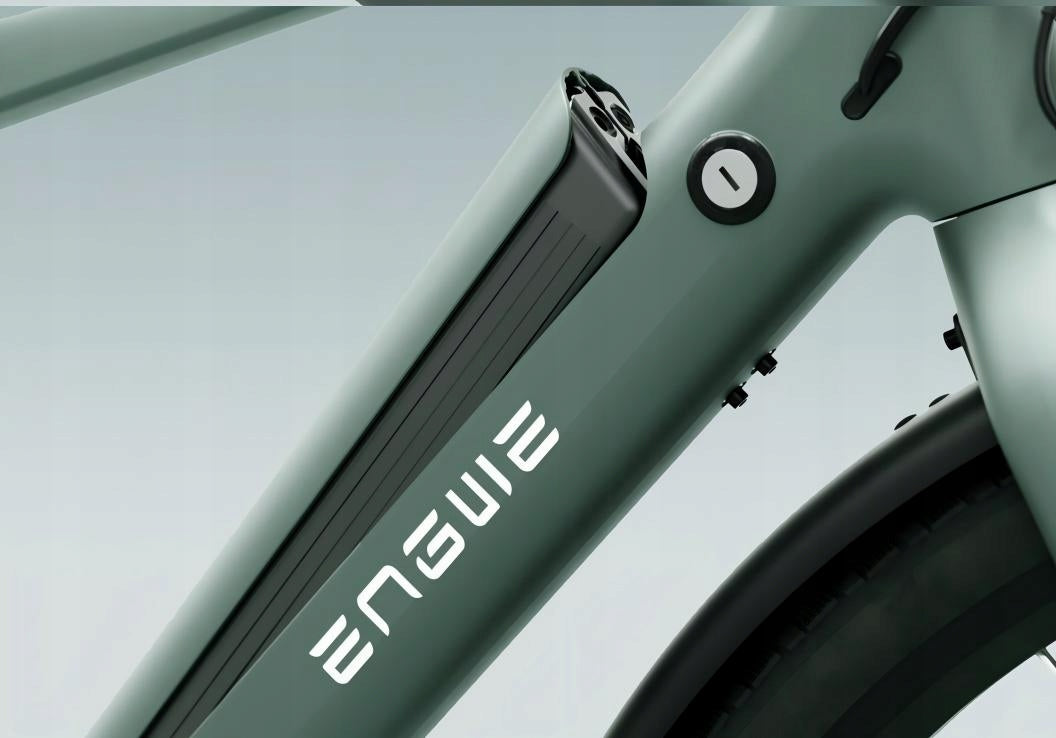 Carbon Fiber Electric Bike Engwe N1 AIR 250W Disc Brakes Maximum rated power electric bike (under 250W)