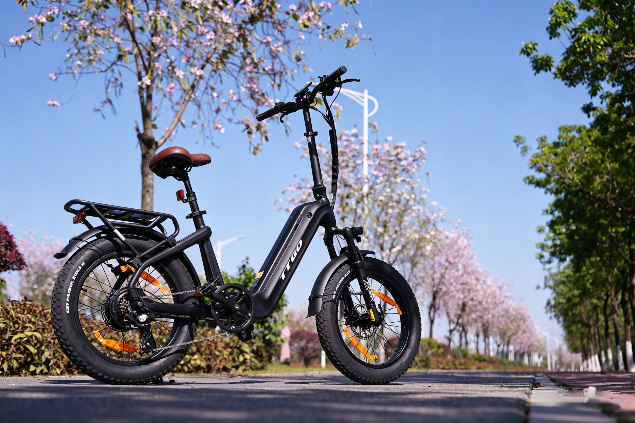 Carbon Fiber Electric Bike TTGO F8 250W 48V 18AH 25KM/H 150KM 20" Foldability partially assembled, calibrated