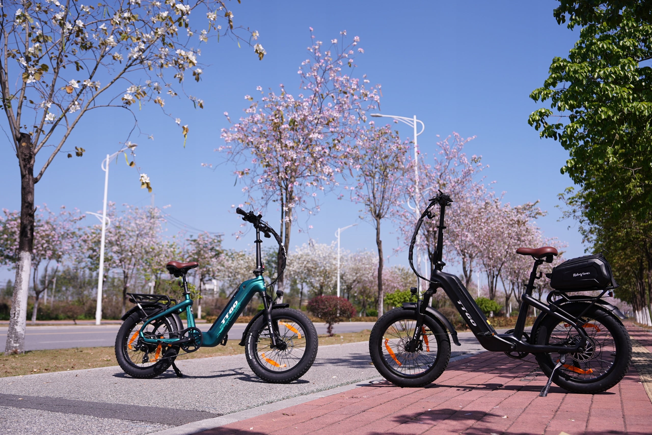Carbon Fiber Electric Bike TTGO F8 250W 48V 18AH 25KM/H 150KM 20" Manufacturer code Rowery elektryczne męskie/damskie TTGO F8