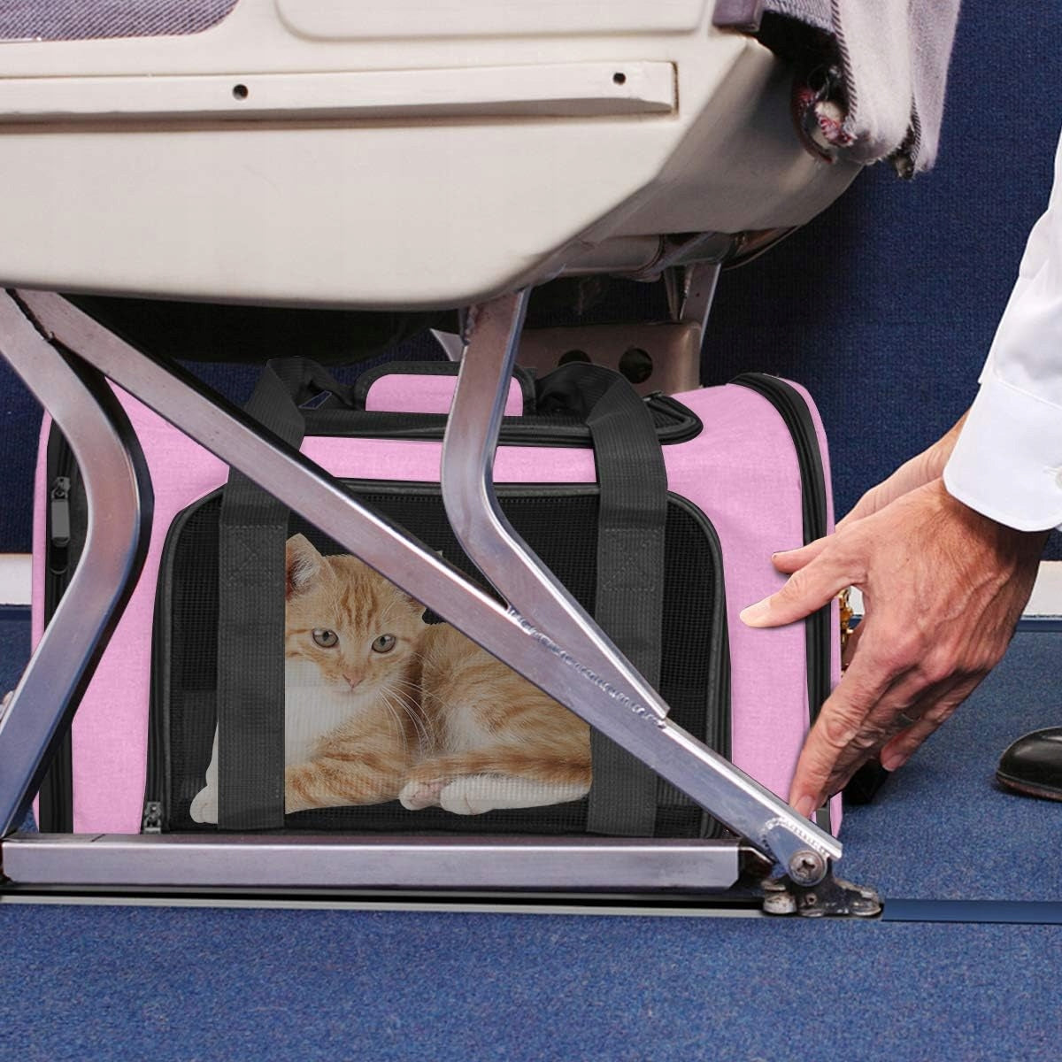 Carrying bag for medium cats and dogs, foldable, portable, 7kg Trade name transporter