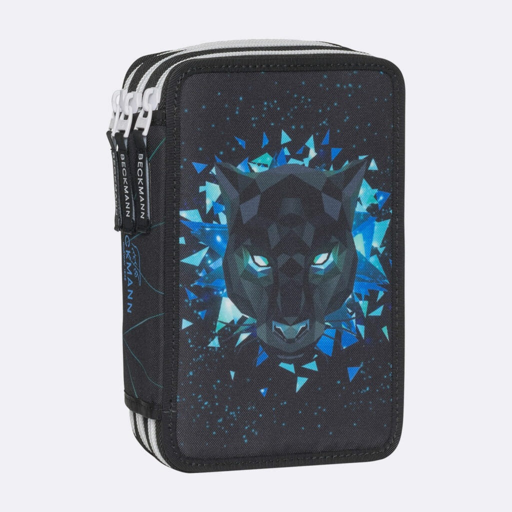 Case with three sections fully equipped, Panther