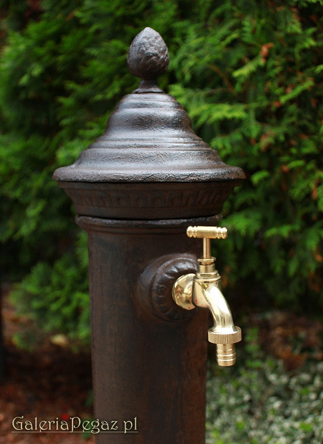 Cast Iron Solid Hydrant Drain Point Water Intake with 3/4 Faucet EAN (GTIN) 5904204490009