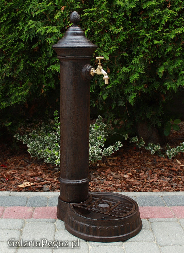 Cast Iron Solid Hydrant Drain Point Water Intake with 3/4 Faucet Manufacturer GaleriaPegaz