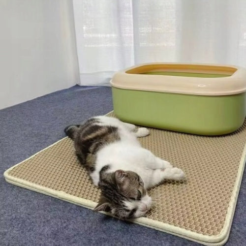Cat Cuvette Mat Double Layer Wiper Large 75cm Beige EAN (GTIN) 5907346715450