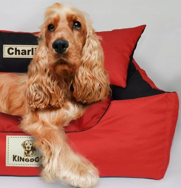 Cat Dog Bed Couch Playpen With Name XL 115x95 cm Assorted Colors Product width 95 cm