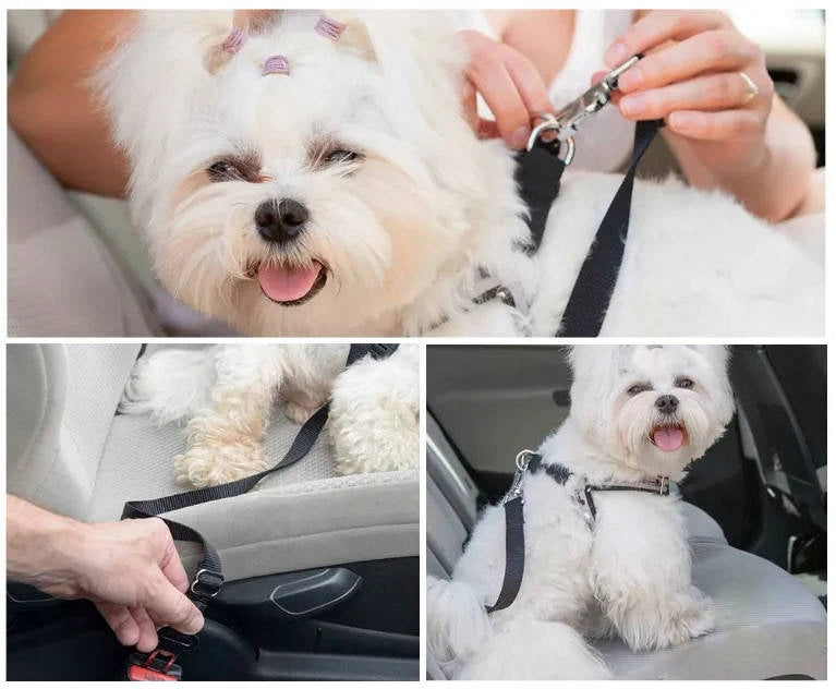 Cat Dog LANYARD for Car SEAT BELT Product height 72 cm