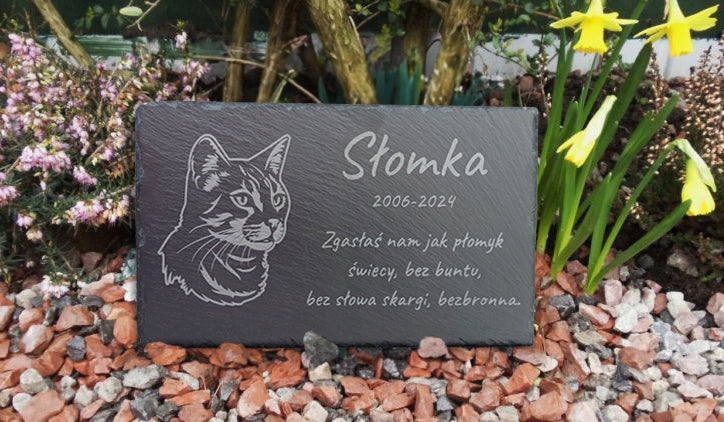 Cat Dog Tombstone - Tombstone Rectangle 18x30cm GRAPHIC Portrait Packaging status original