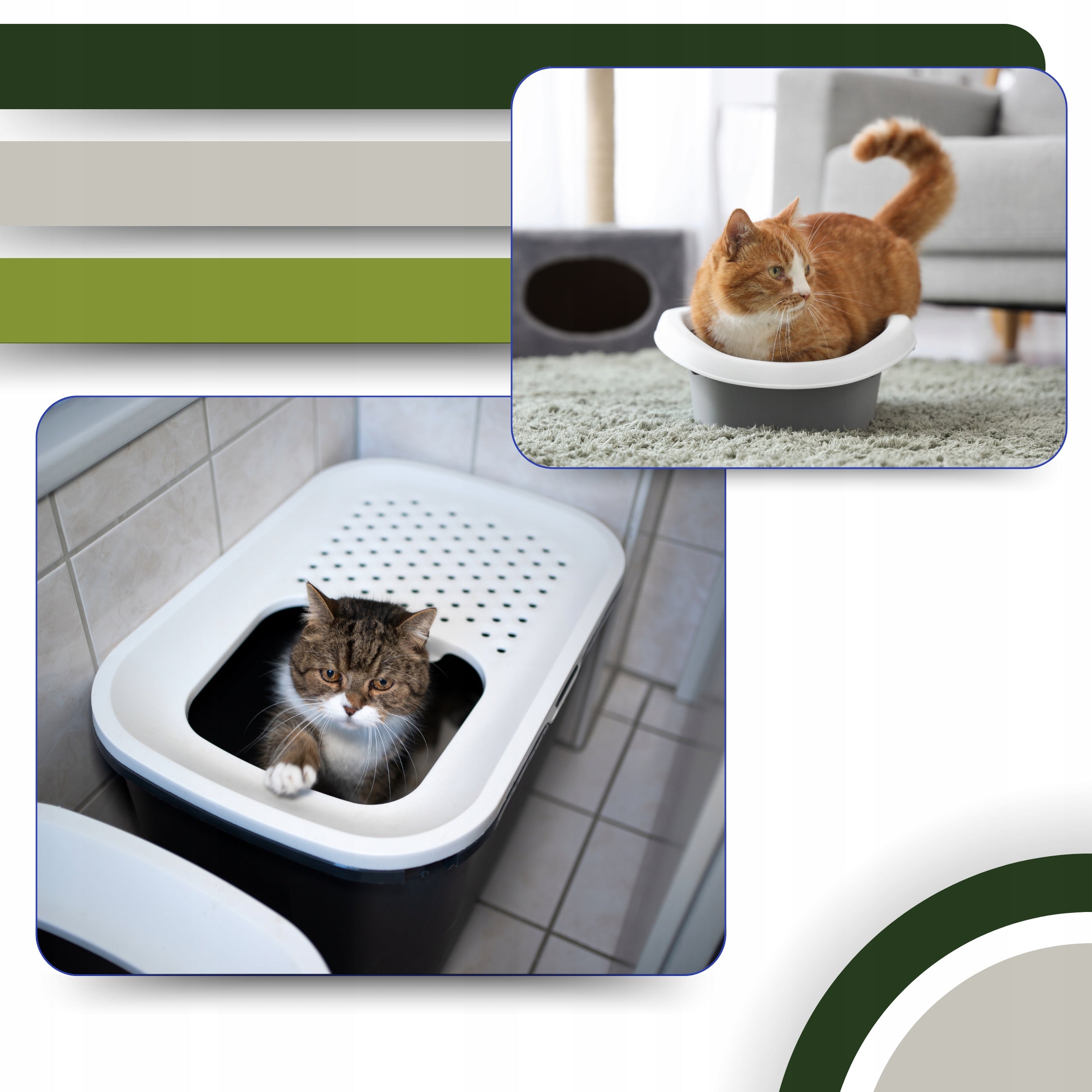 Cat Litter CLUMPING ECOLOGICAL 24l Cereal BIODEGRADABLE for WC Kind other