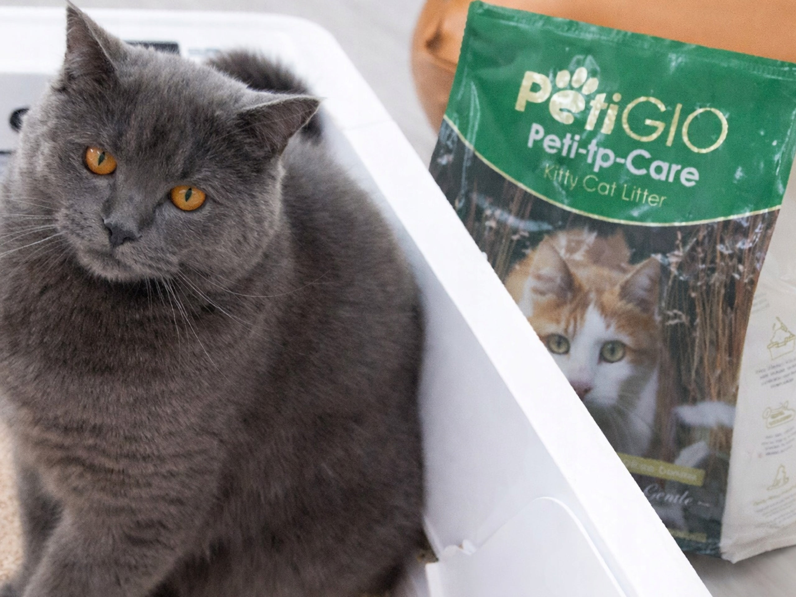 Cat Litter Tofu Natural Clumping Fine Biodegradable Brand PetiGIO