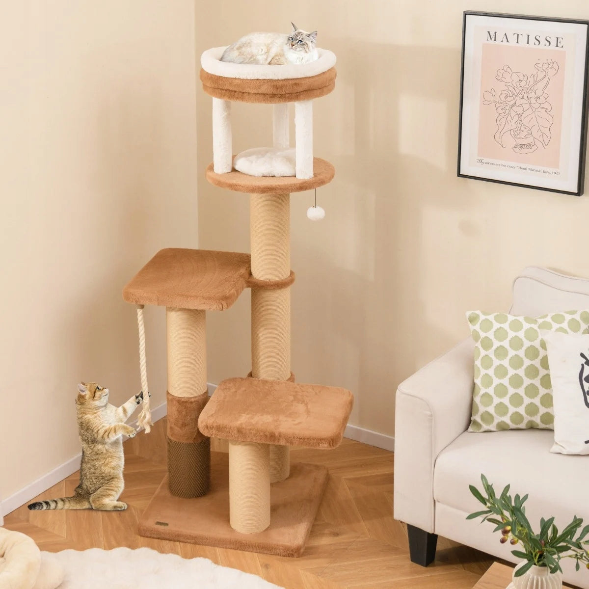 Cat Scratcher Bed with Padded Seat Manufacturer code PV10265CF