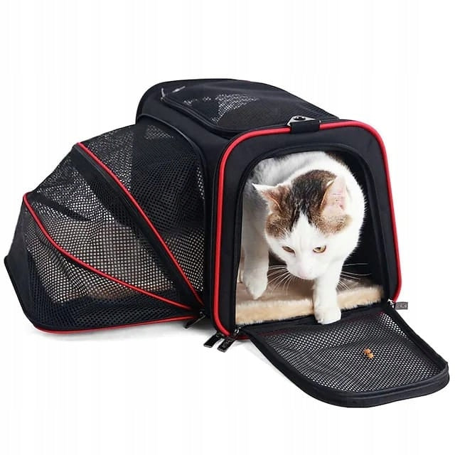 Cat Transporter Folding Padded Carrying Bag Black 45x28 Brand no brand