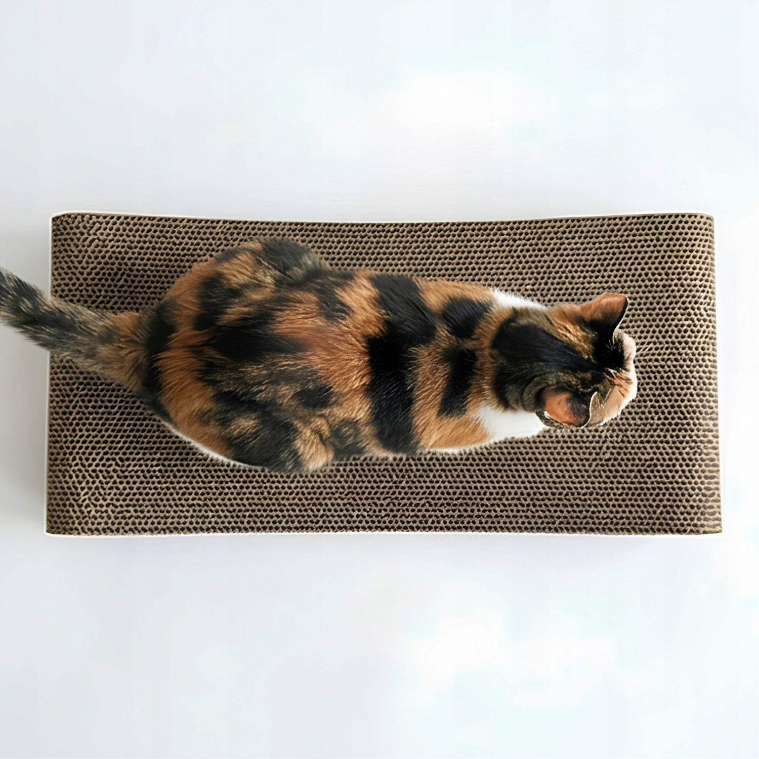 Cat bed SIGMA Imitation Wood 58cm Packaging status original