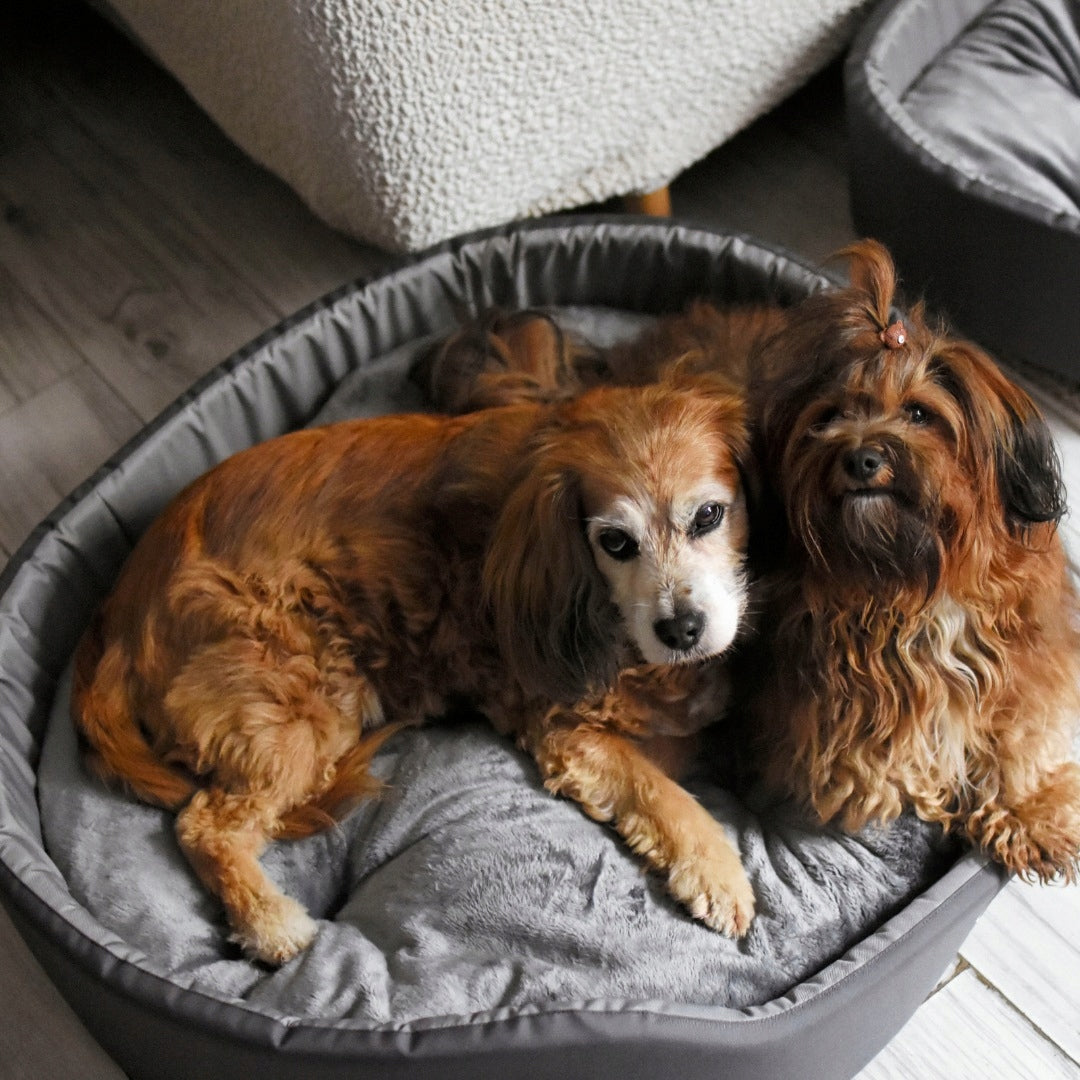 Cat dog bed ANTI-ALLERGIC bedding couch playpen Lovedog M 60x50 Kind playpen