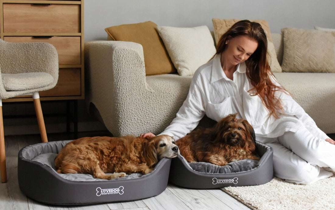 Cat dog bed ANTI-ALLERGIC bedding couch playpen Lovedog M 60x50 Product width 50 cm