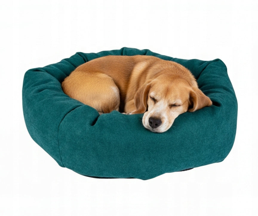 Cat dog bed large 50x50 cm multicolor with pillow Manufacturer code 5906306241855