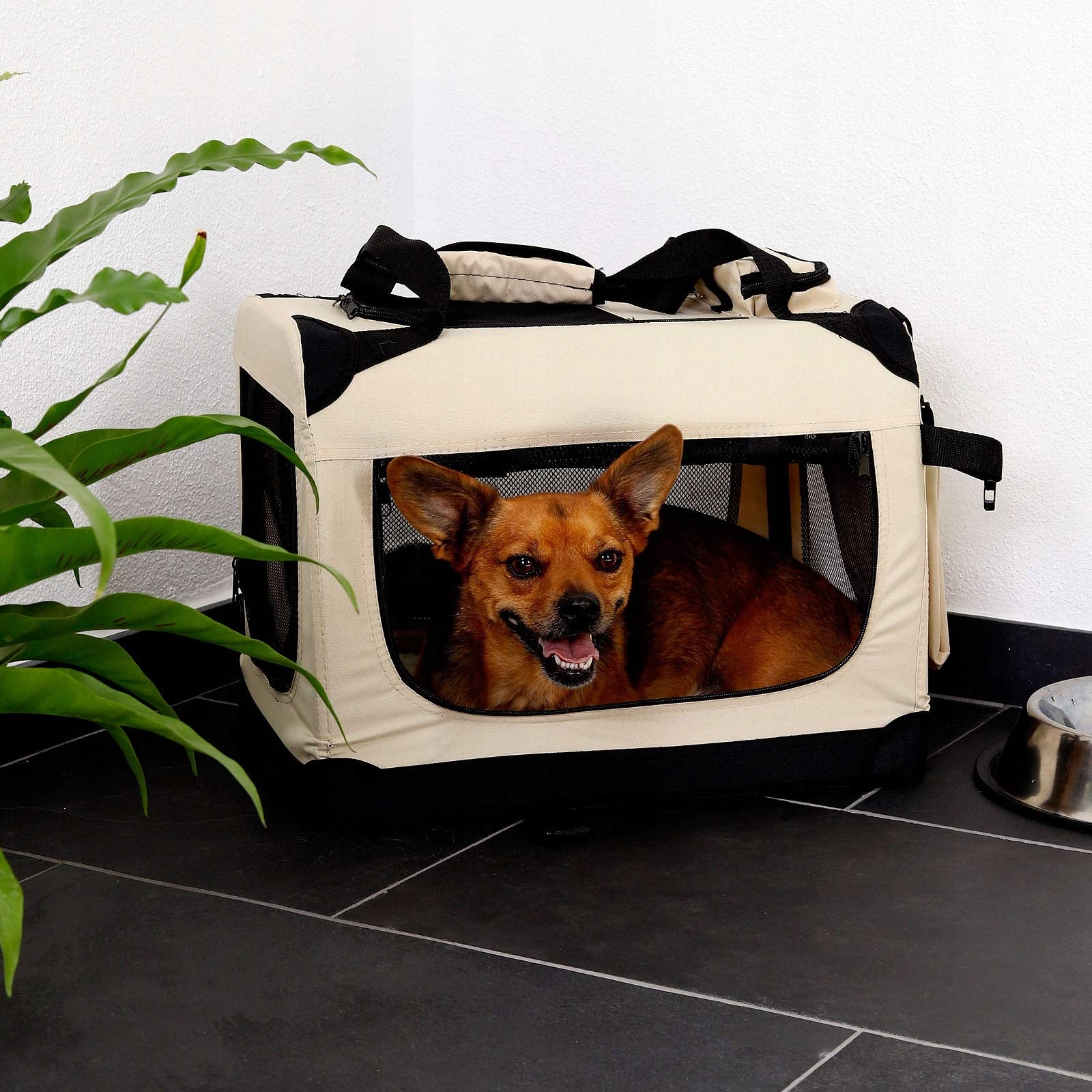 Cat dog transporter 42 cm x 60 cm x 44 cm beige Lionto large