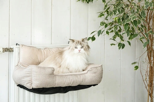 Cat hammock for radiator, couch Zolux Cooper 60x40x28cm beige Manufacturer code 504106BEI