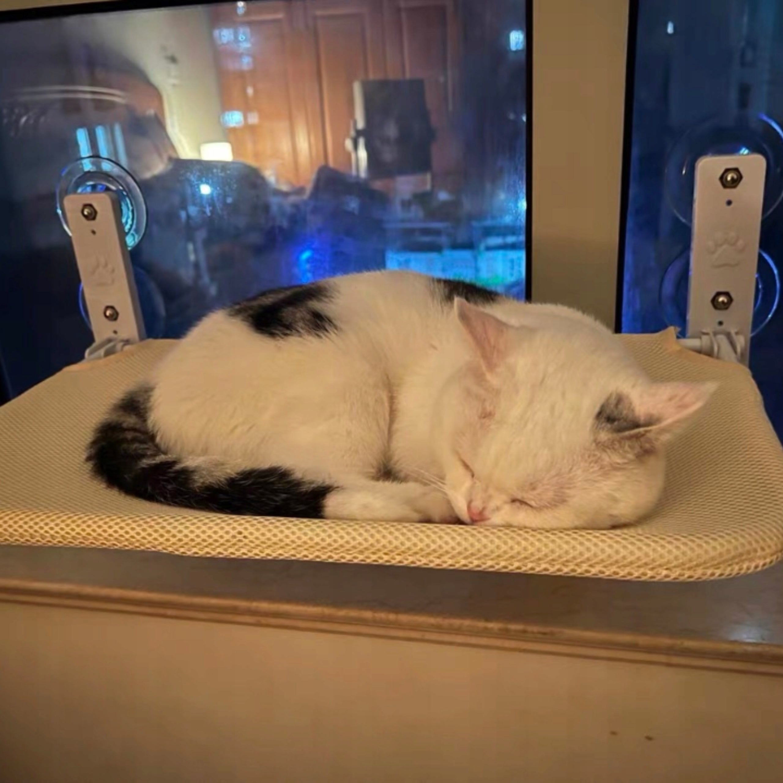 Cat hammock for the window – 45×30 bed, ideal for observing the environment! Product width 45 cm