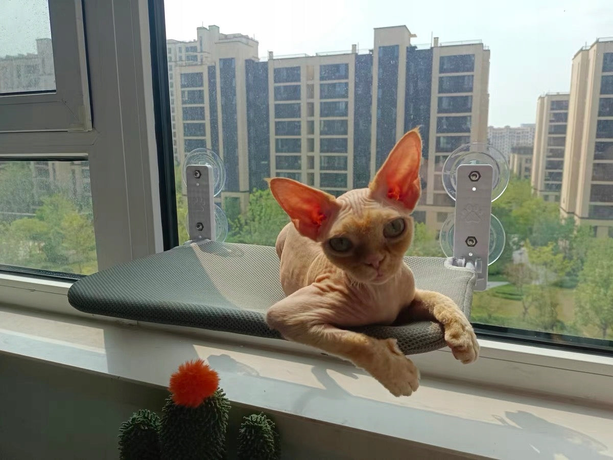 Cat hammock for the window – 52×30 bed, ideal for observing the environment! Length 30 cm