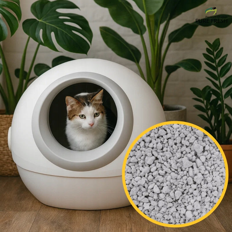 Cat litter bentonite 6L litter box litter small in carton Manufacturer code 9005364139077