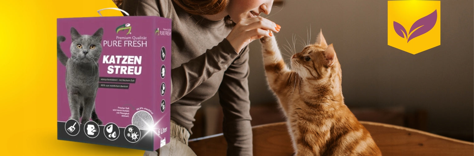 Cat litter bentonite 6L litter box litter small in carton Product weight 5.2 kg