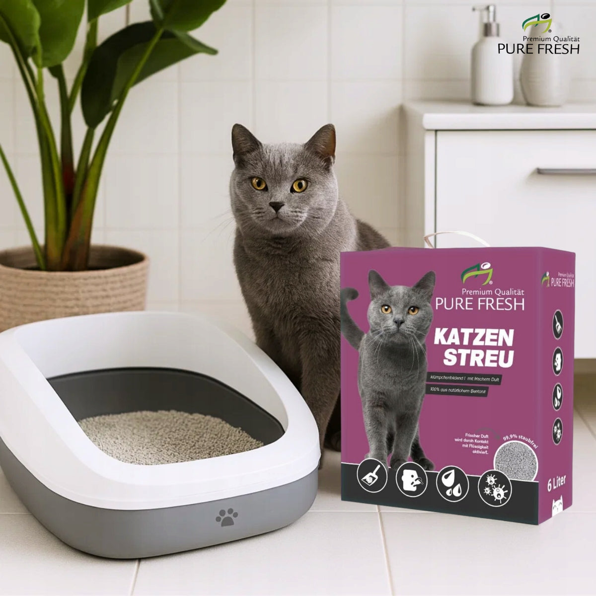 Cat litter bentonite 6L litter box litter small in carton Volume 6 l