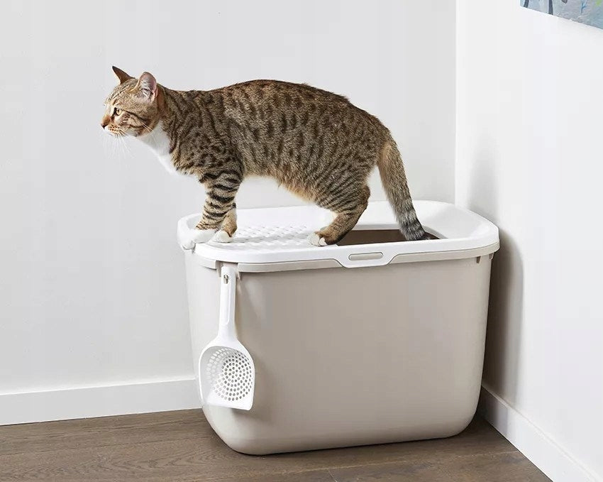 Cat litter box SAVIC HOP white-coffee Trade name KUWETA