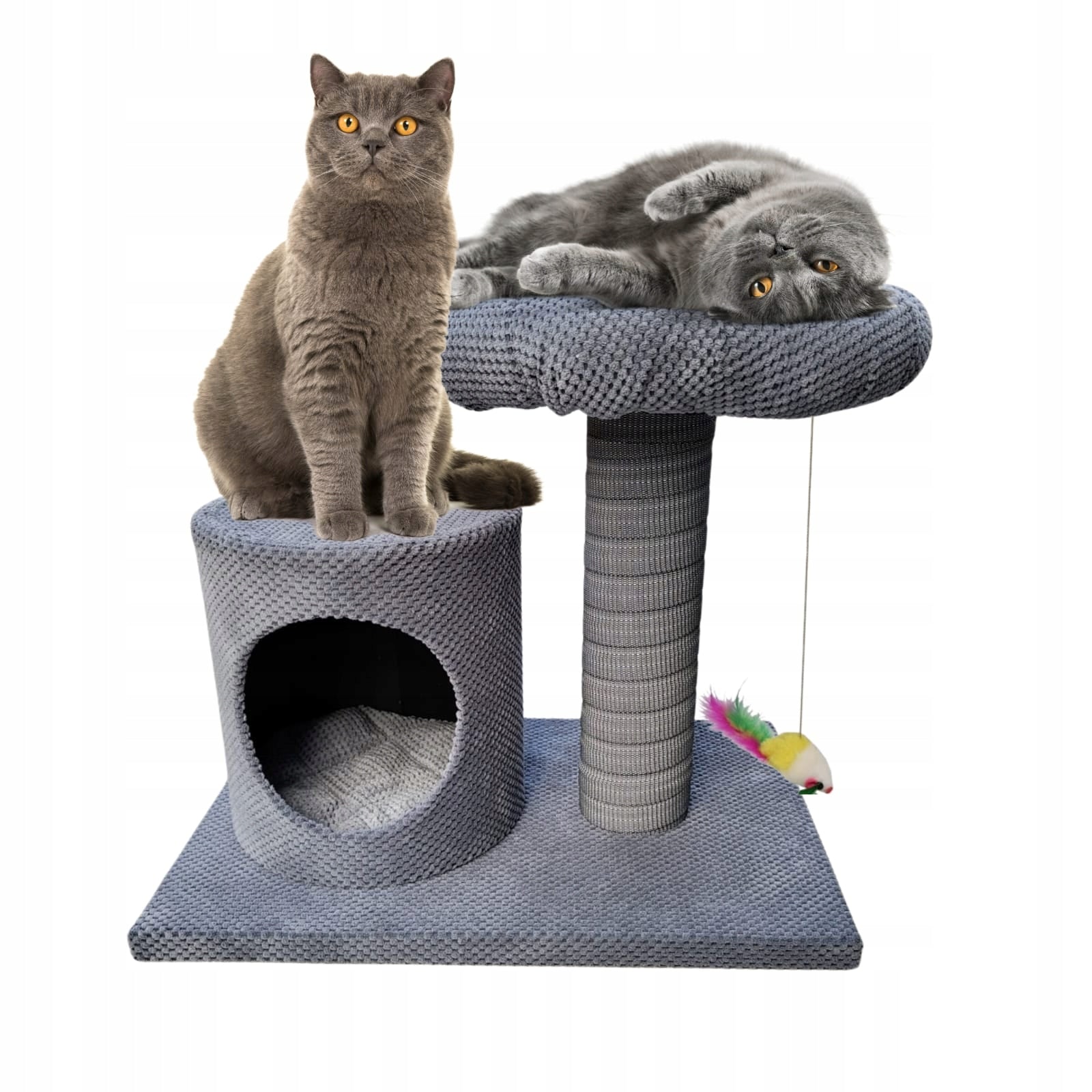 Cat scratcher Makspol nr.13 Palma Cottage Bed! Grey