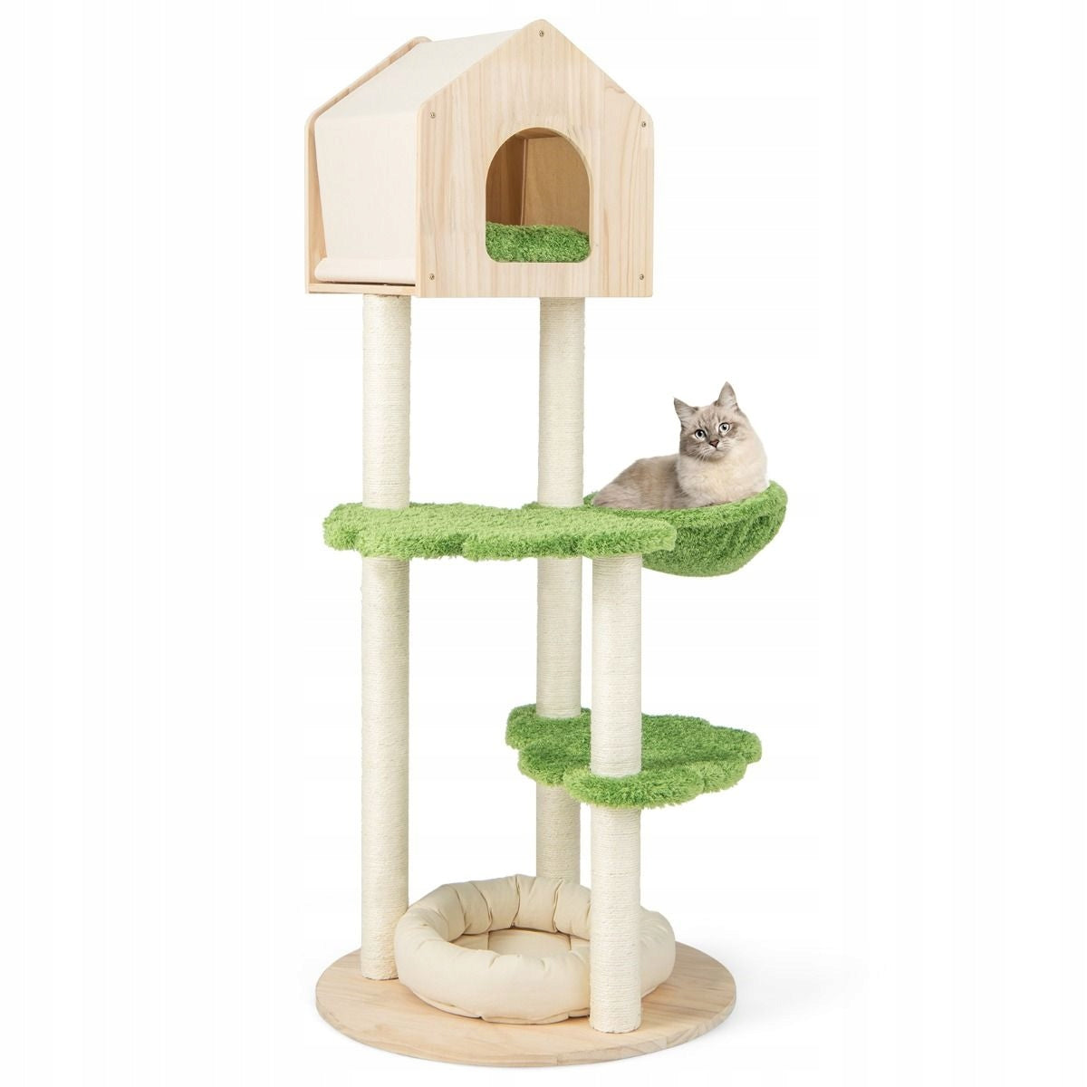 Cat scratcher with bed and hammock