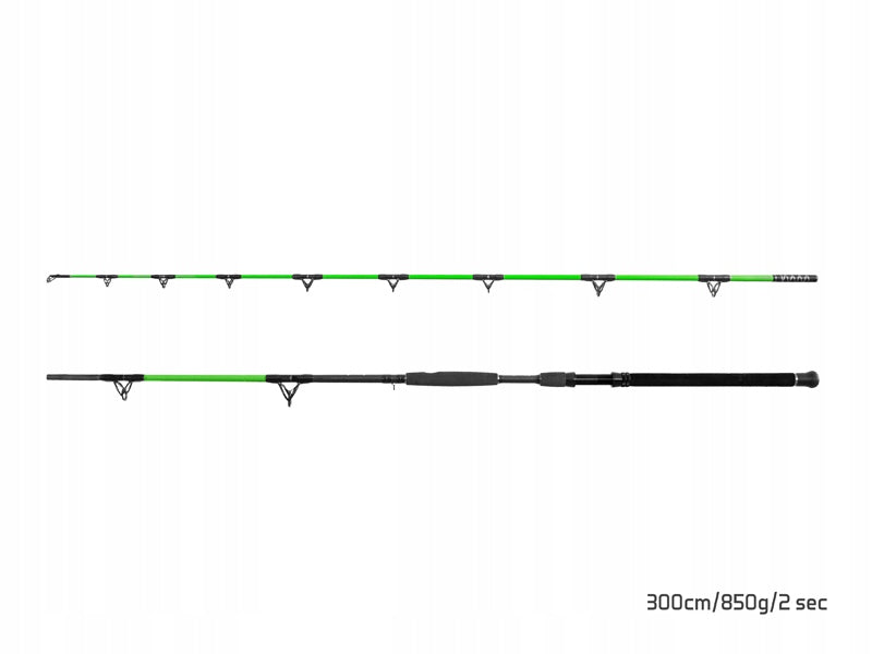 Catfish / Sea Fishing Rod Delphin WALKYRA / 2 sets 260cm/850g Brand Delphin
