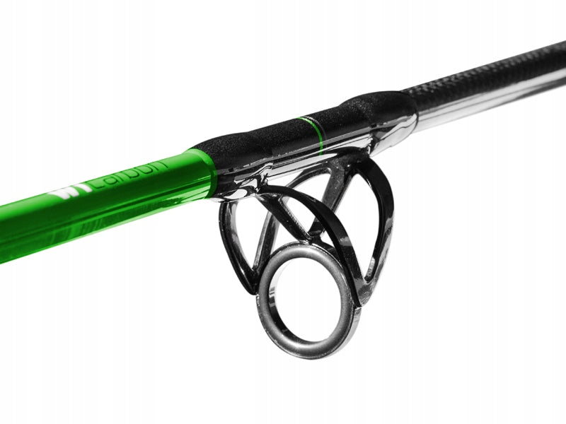 Catfish / Sea Fishing Rod Delphin WALKYRA / 2 sets 260cm/850g Casting weight 1–850 g