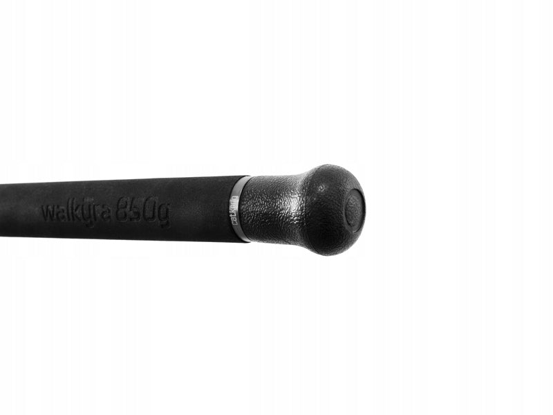 Catfish / Sea Fishing Rod Delphin WALKYRA / 2 sets 260cm/850g Number of sections 2