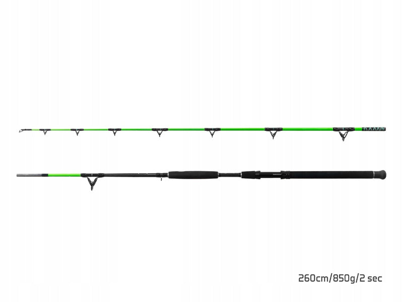 Catfish / Sea Fishing Rod Delphin WALKYRA / 2 sets 260cm/850g Total length 260 cm