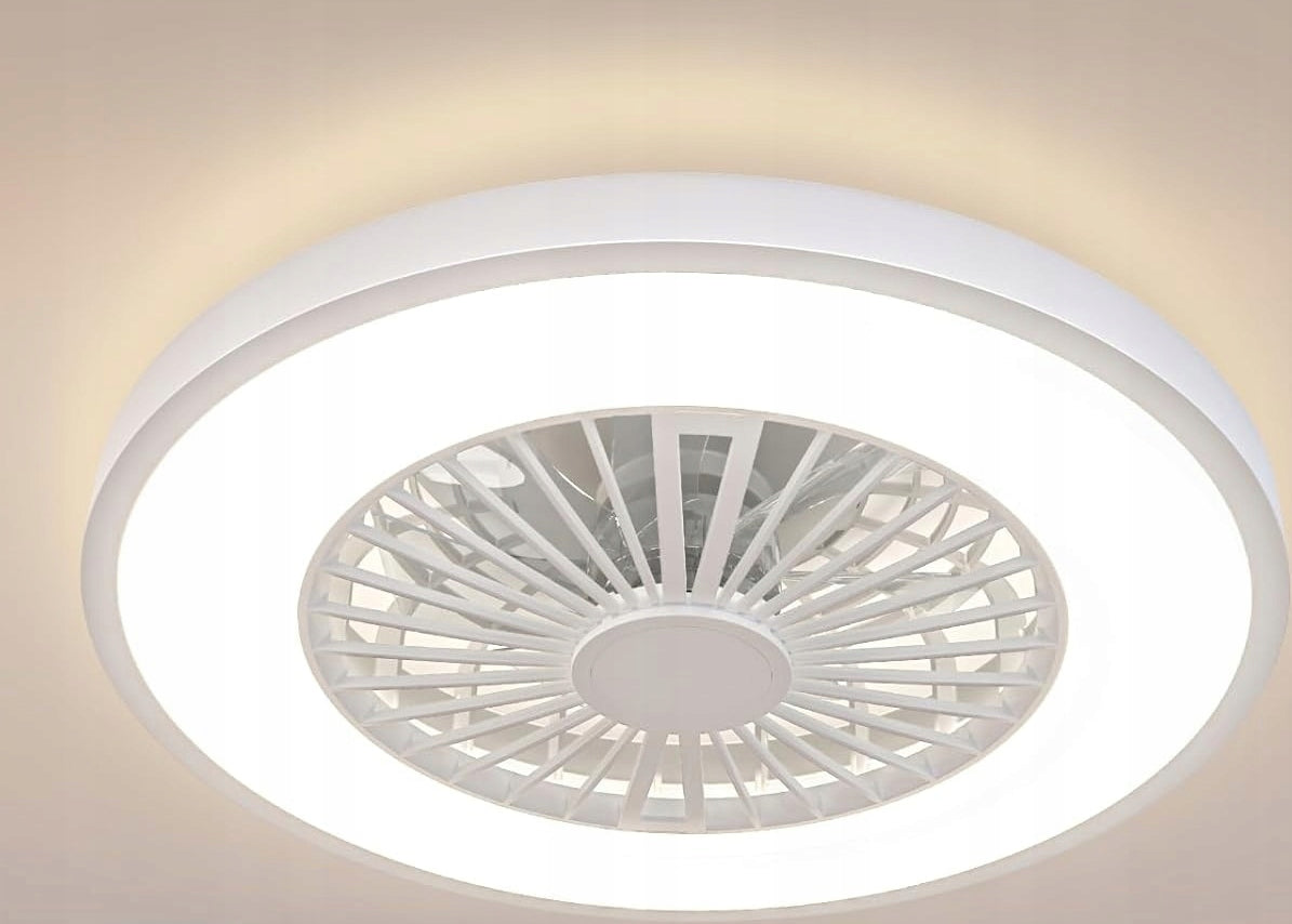 Ceiling Fan with LED Lamp Remote Control Silent Timer White TTC 45W 6500K 54 cm Functions none
