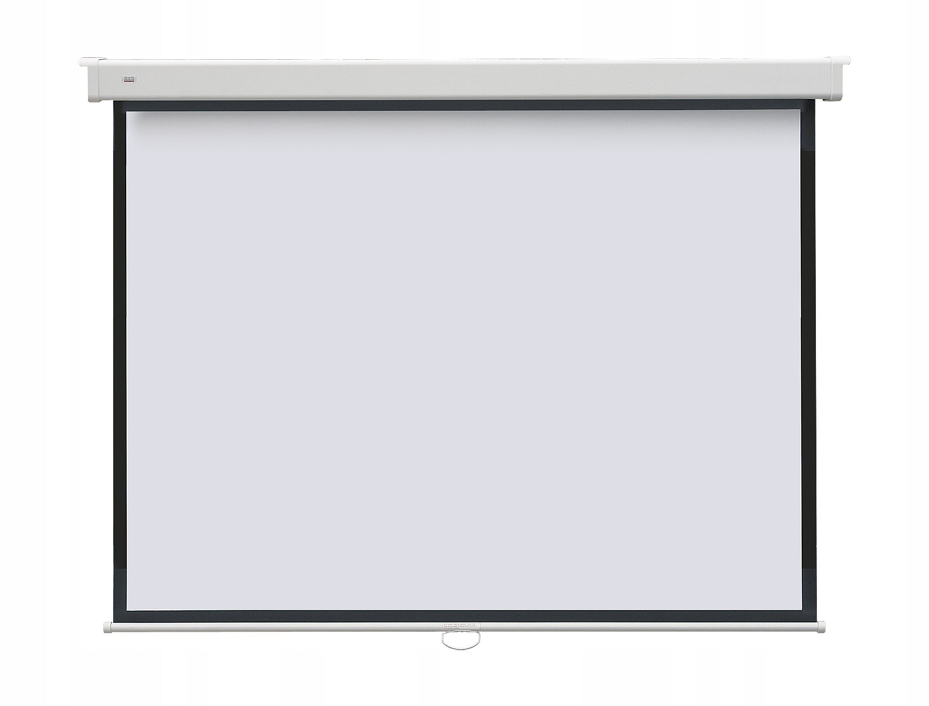 Ceiling Wall Projection Screen Large Handheld 174x174 cm 100 inches