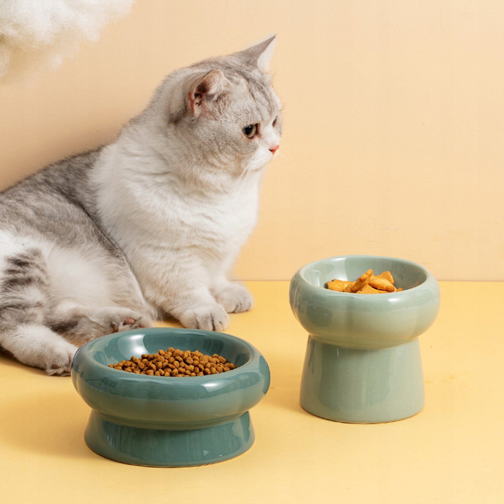 Ceramic Design Cat Dog Bowl Elevated Dark Green 180ml Brand no brand