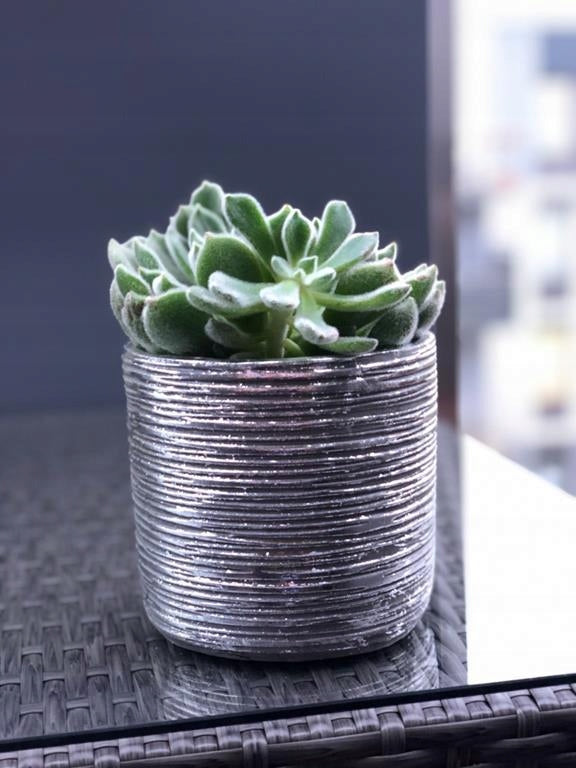 Ceramic Flower Pot Rustic 14x13 cm Silver Brand Polnix