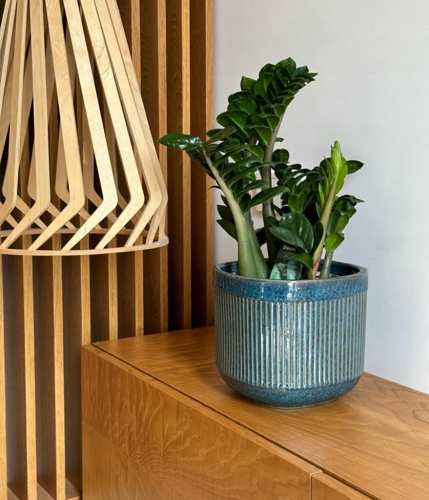 Ceramic Planter Cover 17x16 cm Blue Manufacturer code 01.703.17