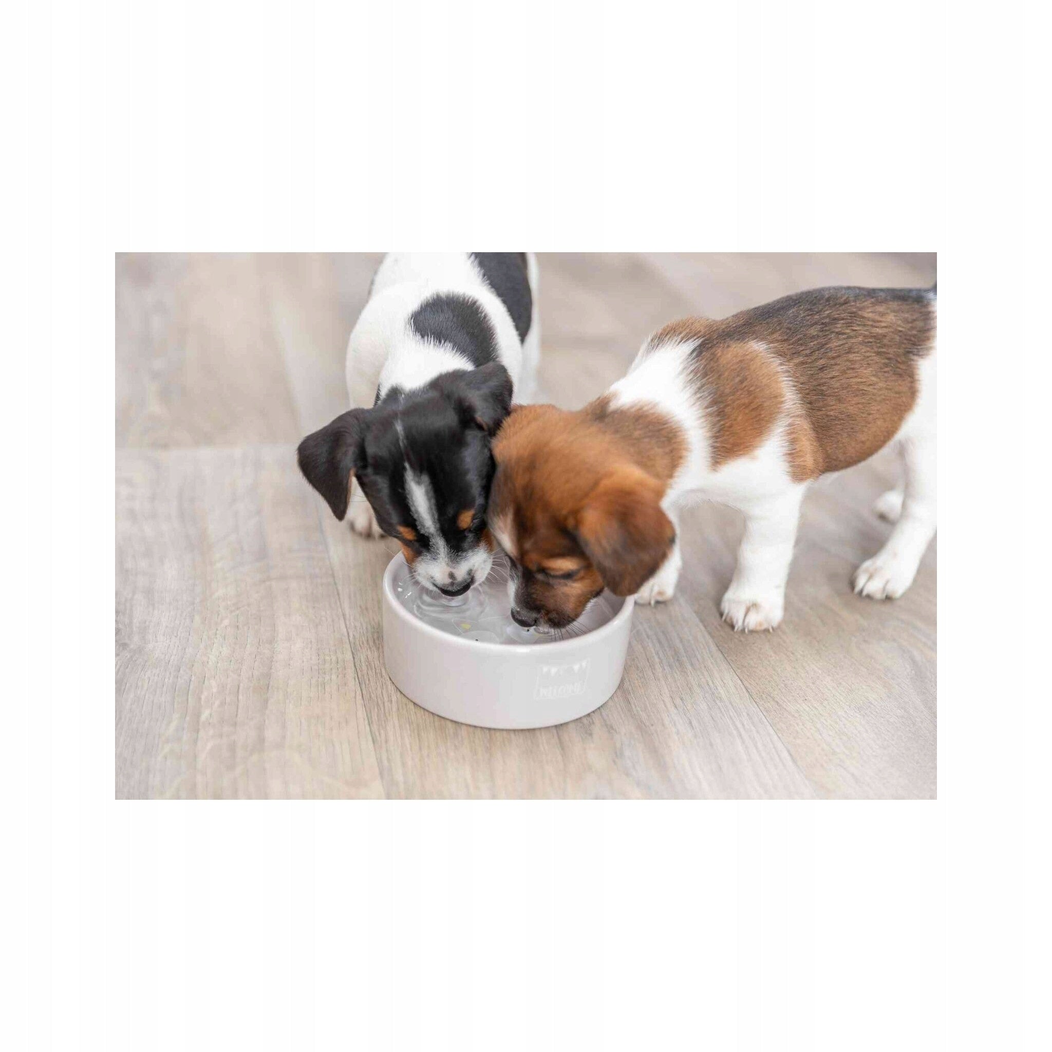 Ceramic bowl Trixie Junior, 0.3 l/o 12 cm Brand Trixie