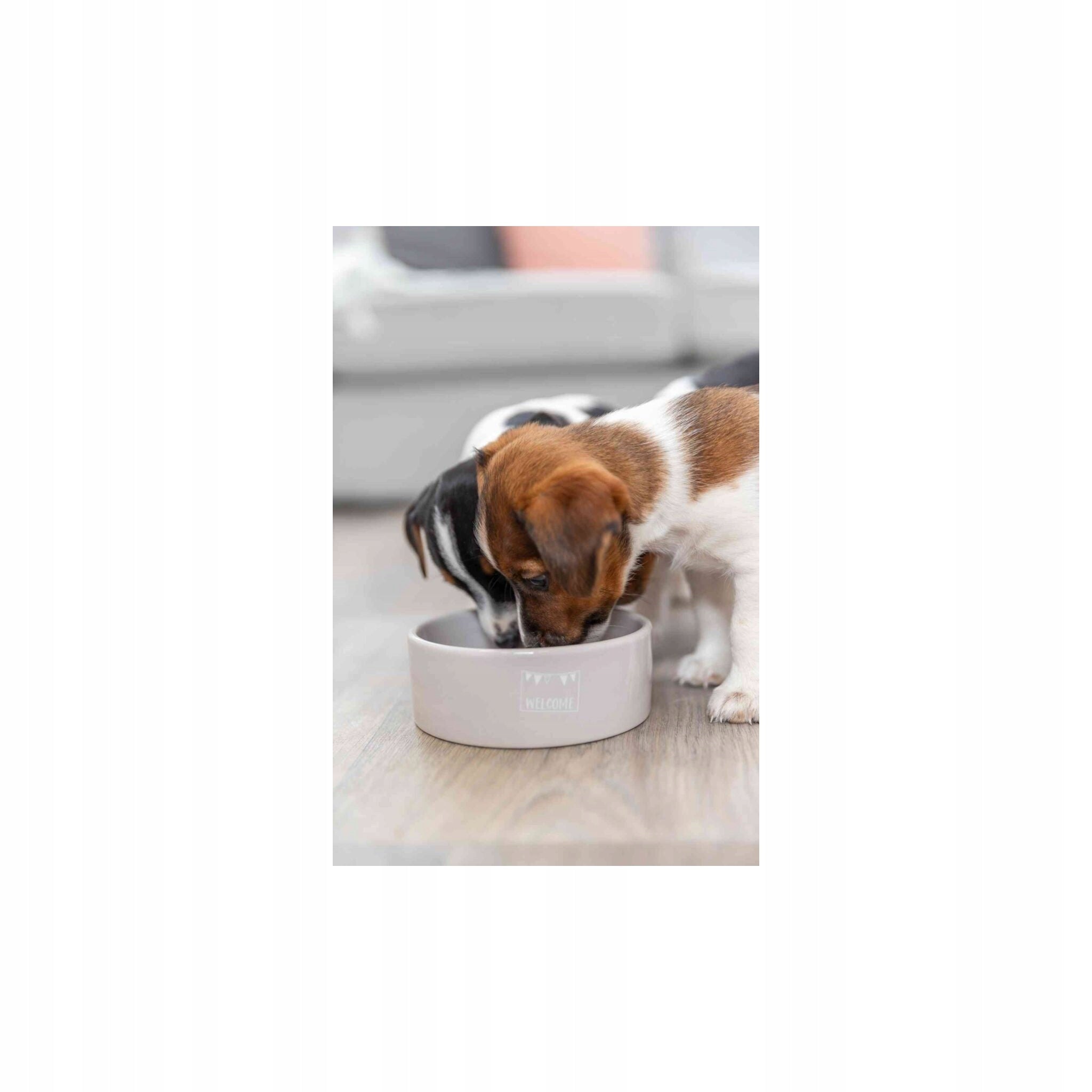 Ceramic bowl Trixie Junior, 0.3 l/o 12 cm Product weight with unit packaging 0.3 kg