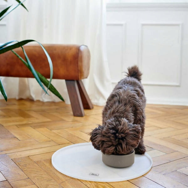 Ceramic dog bowl Osby beige Hunter - Size: 1100ml Brand Hunter
