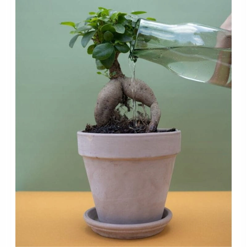 Ceramic pot stand 11 cm clay Terracotta Manufacturer code Moka Podstawek 11cm