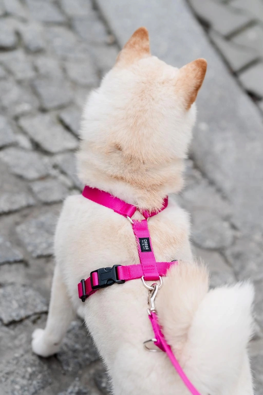 Chaba Harness Guard for Dog M Bordo 25-40/35-55/2cm Manufacturer code Szelki dla Małego psa typu GUARD bordowe r. M