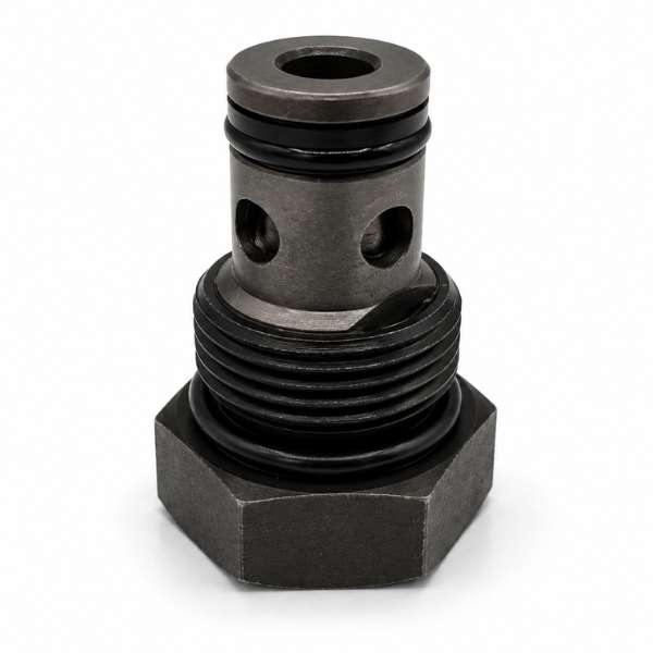 Check valve (thread 20mm) two-column lift