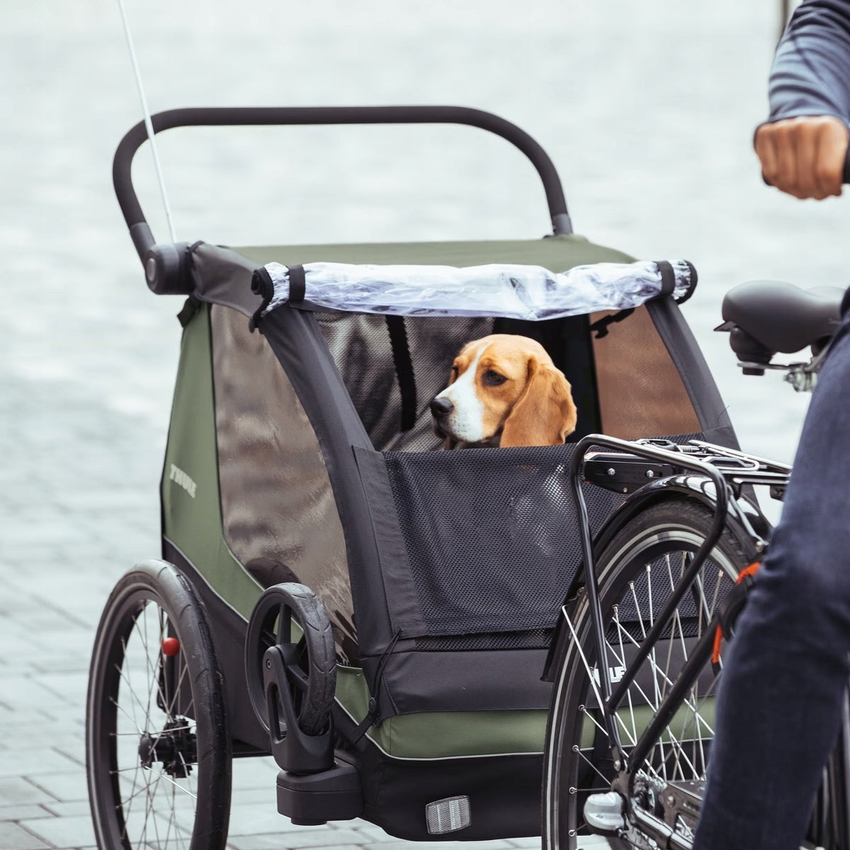 Children's bicycle trailer transport trolley Thule Courier 10102002 For for kids