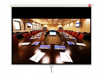 Cinema 280 16:9 280 x 200 cm Handheld Projection Screen Model Cinema 280